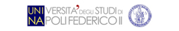 Universitࡤegli Studi di Napoli Federico II